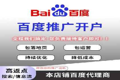搜索引擎优化（SEO）与竞价广告（SEM）的对比案例